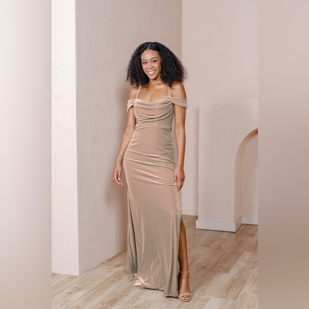 Revelry Sienna Velvet Dress